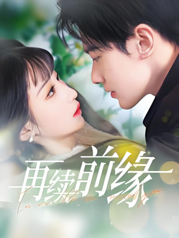 再續前緣(全集)