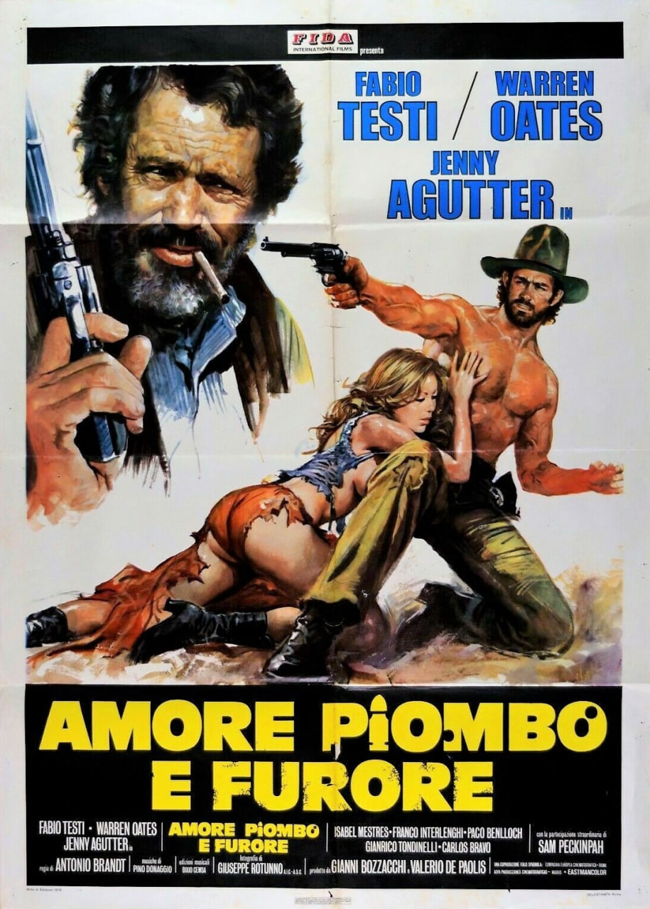 怒發沖冠為紅顏(全集)