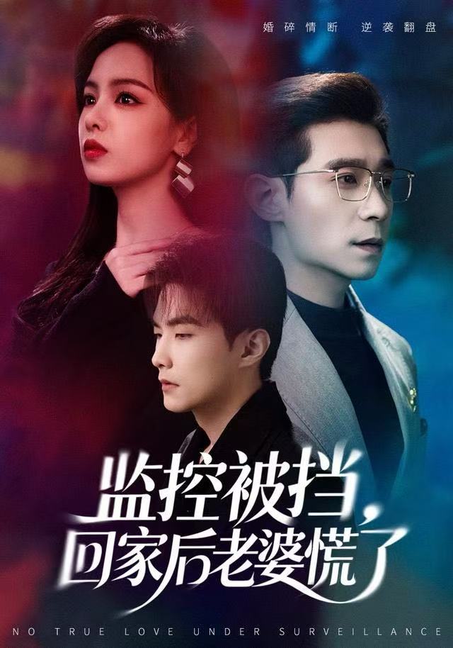 監(jiān)控被擋，回家后老婆慌了(全集)