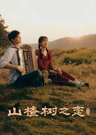 山楂樹之戀2025(全集)