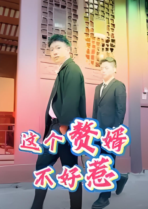 這個贅婿不好惹(全集)